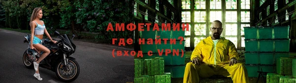 ПСИЛОЦИБИНОВЫЕ ГРИБЫ Кулебаки