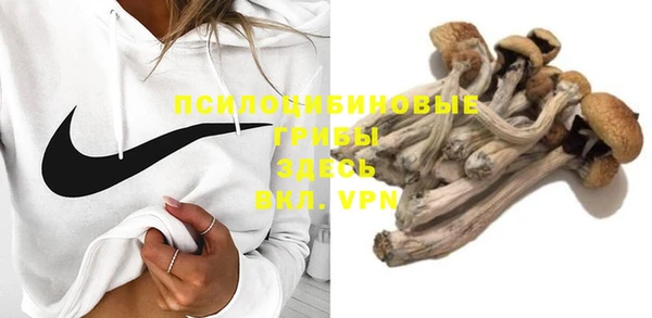 ПСИЛОЦИБИНОВЫЕ ГРИБЫ Кулебаки