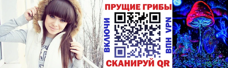 площадка состав Кушва Галлюциногенные грибы Magic Shrooms